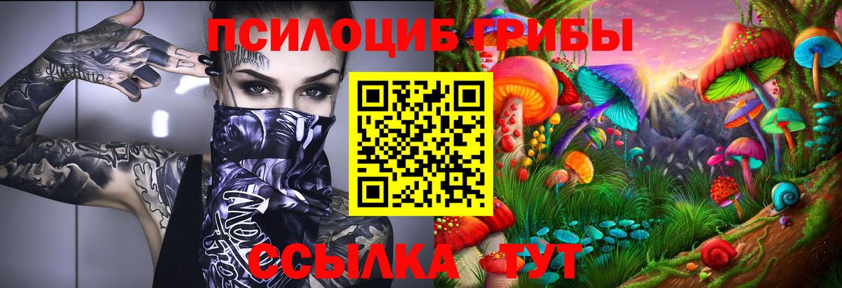 Псилоцибиновые грибы Cubensis Мурино