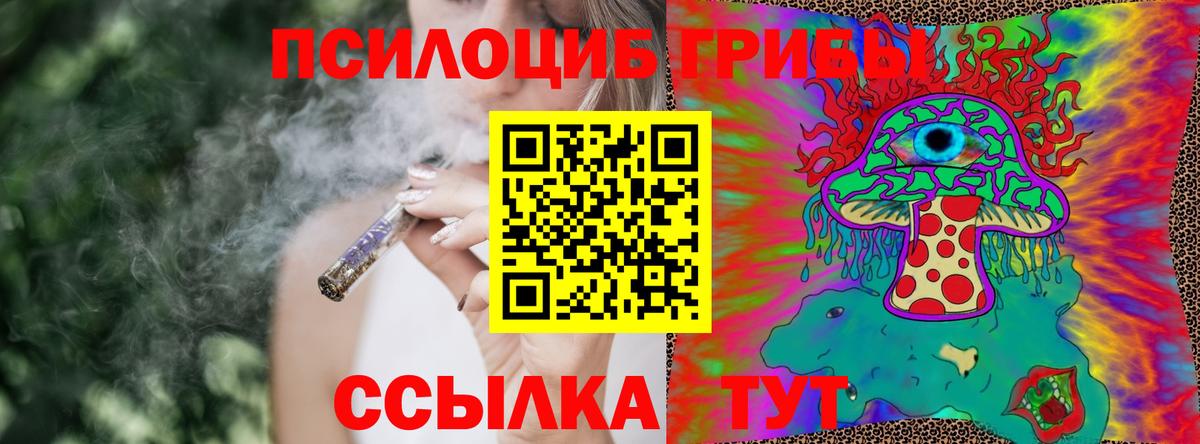 Мурино  Галлюциногенные грибы Cubensis  Галлюциногенные грибы GOLDEN TEACHER  Вход с VPN 